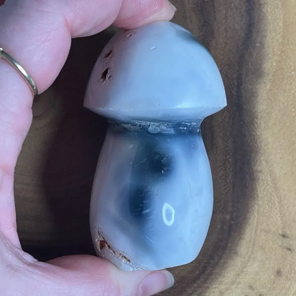 Orca agate mushroom carving crystal druzy black mostly white